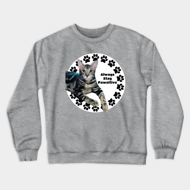 Always Stay Positive Grey Cat Crewneck Sweatshirt by Long-N-Short-Shop